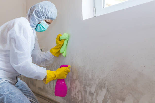 Mold Remediation for Rental Properties in Rothschild, WI